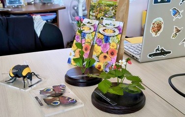 Zajęcia edukacyjne z Nadgoplańskim Parkiem Tysiąclecia 2
