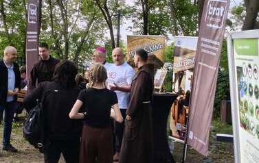 Strefa wyjazdowa - Przystanek JP II w Toruniu