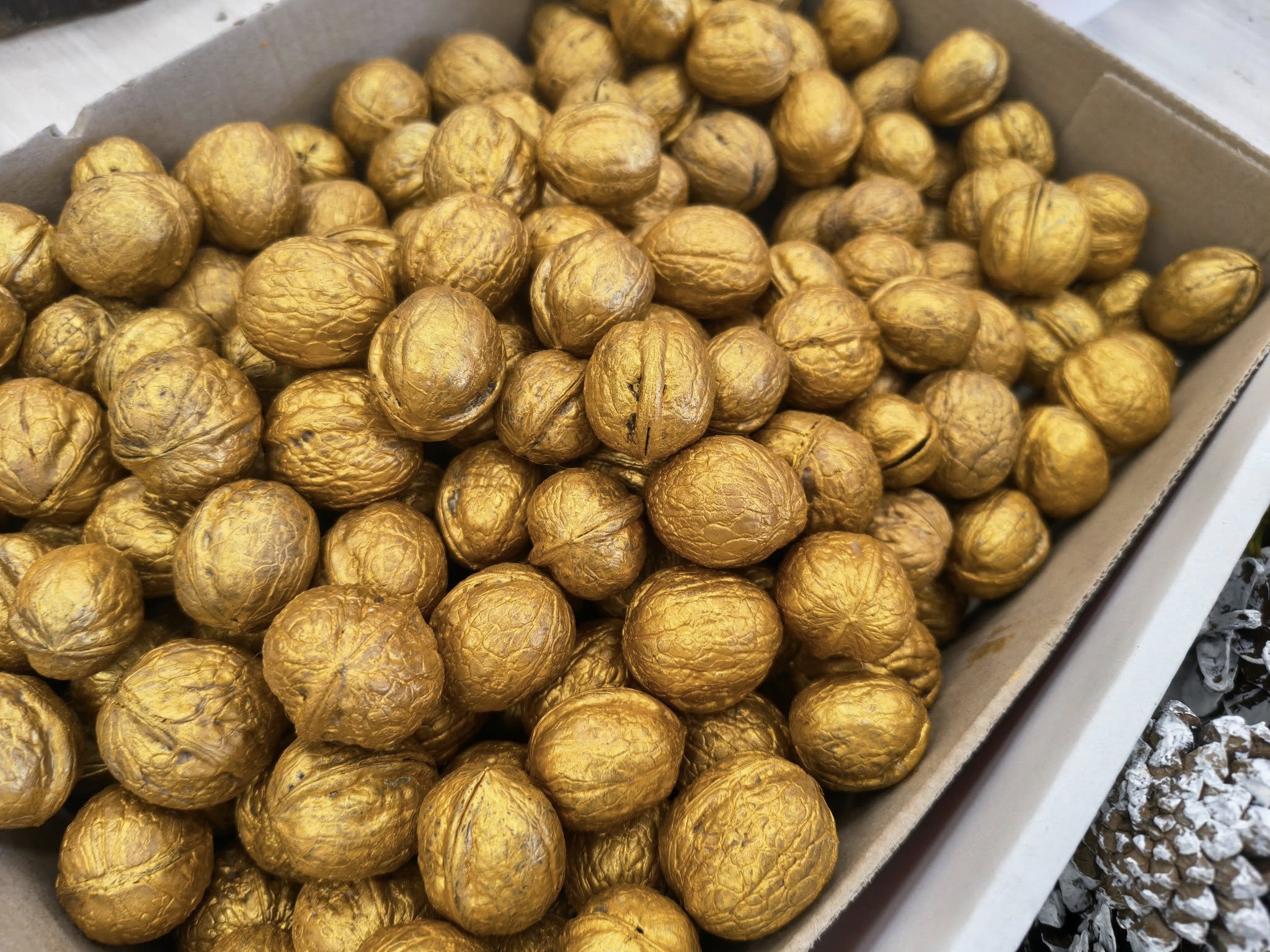 592898544_873284185641954_8143577682516583905_n